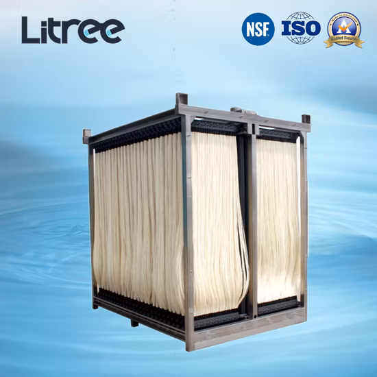 Litree UF Membrane Module for Water Treatment Plant