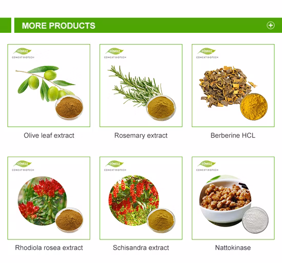 Vitamina B6, additivi per mangimi alimentari biologici CAS 8059-24-3